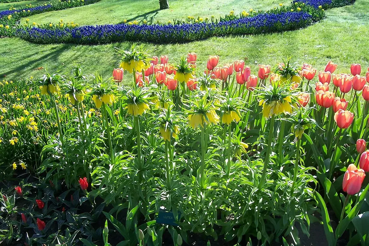 Flower stems of different lengths measured beside a short ceramic vase