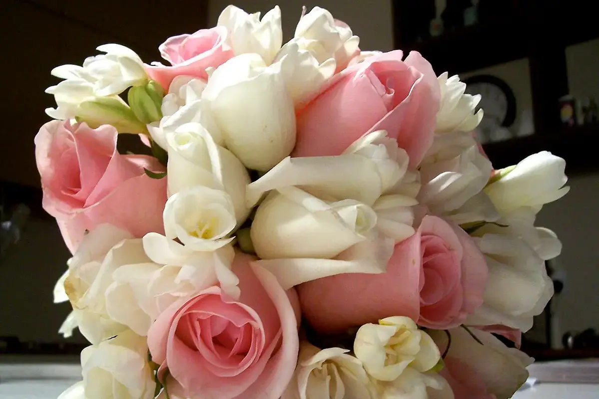 Pink roses and white flowers gathered in a round hand-tied bouquet.