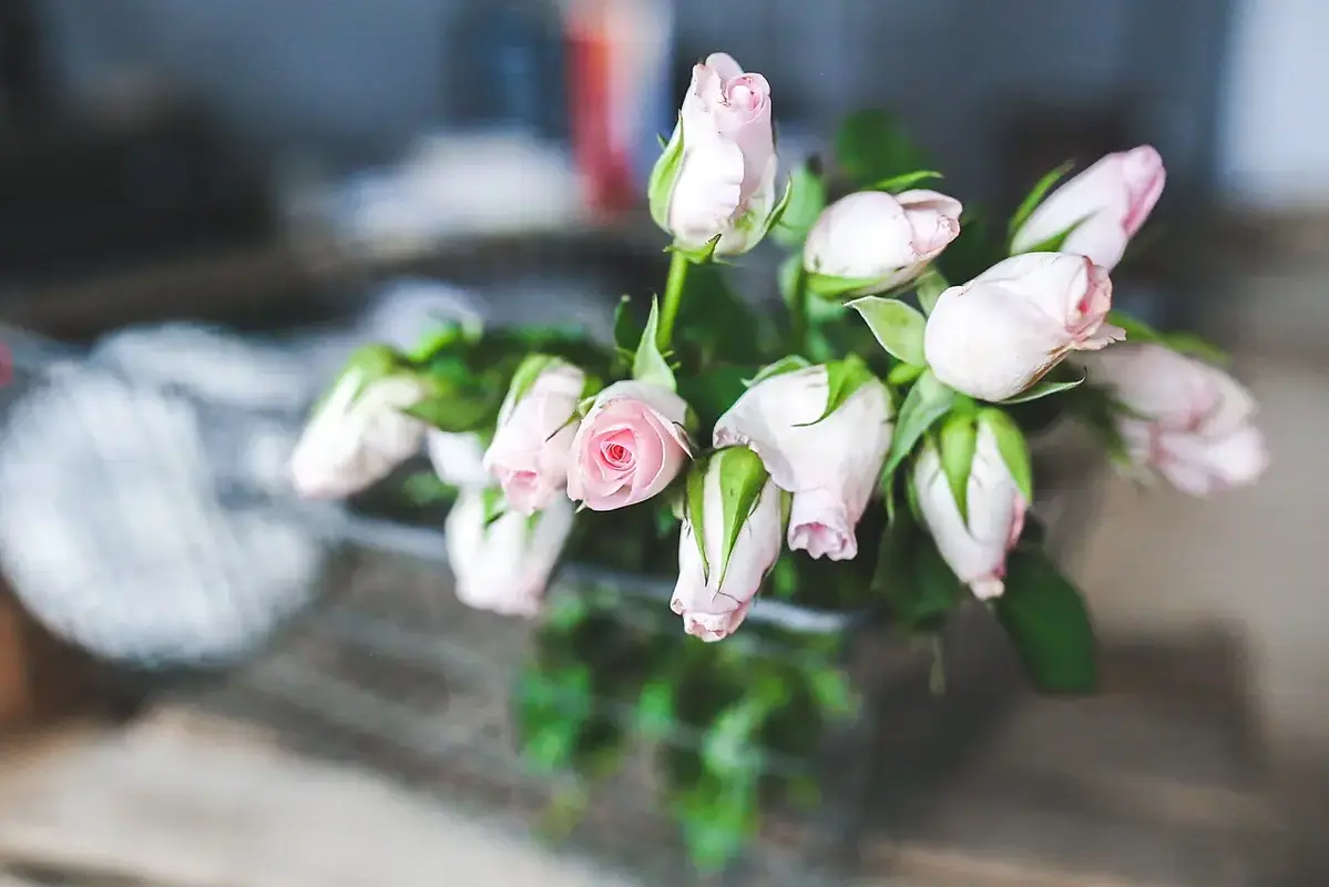 Wikimedia Commons flower photograph showing a marked dipstick checking water depth in an opaque flower vase