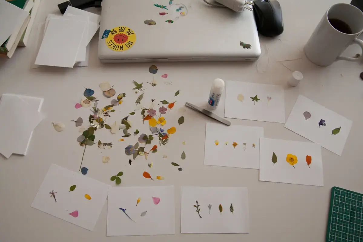 Small dried flower pieces arranged on sheets of white craft paper.