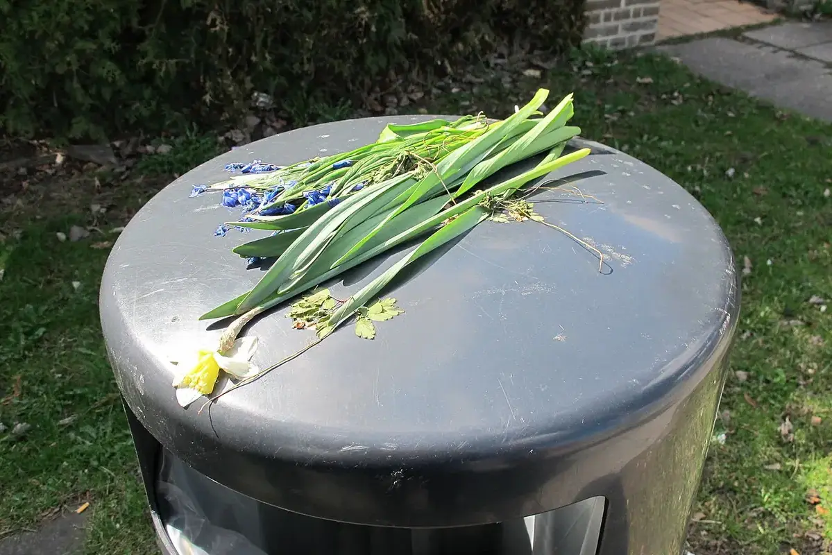 Wikimedia Commons flower photograph showing an inspected lined metal container with a protected interior and soft cleaning tools