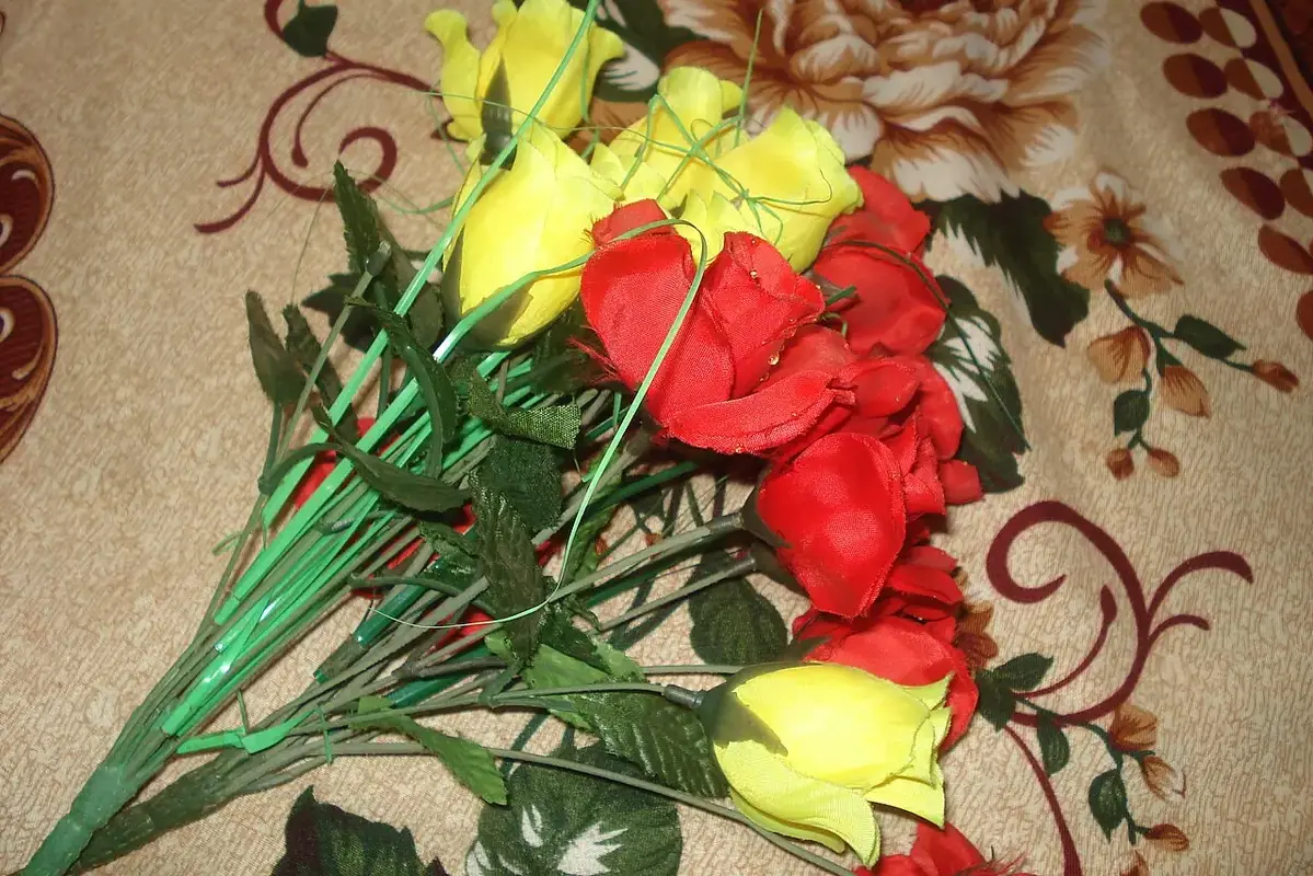 Cut Carnation Care: Keep Calyxes and Stems Firm shown in a clean flower-care setup