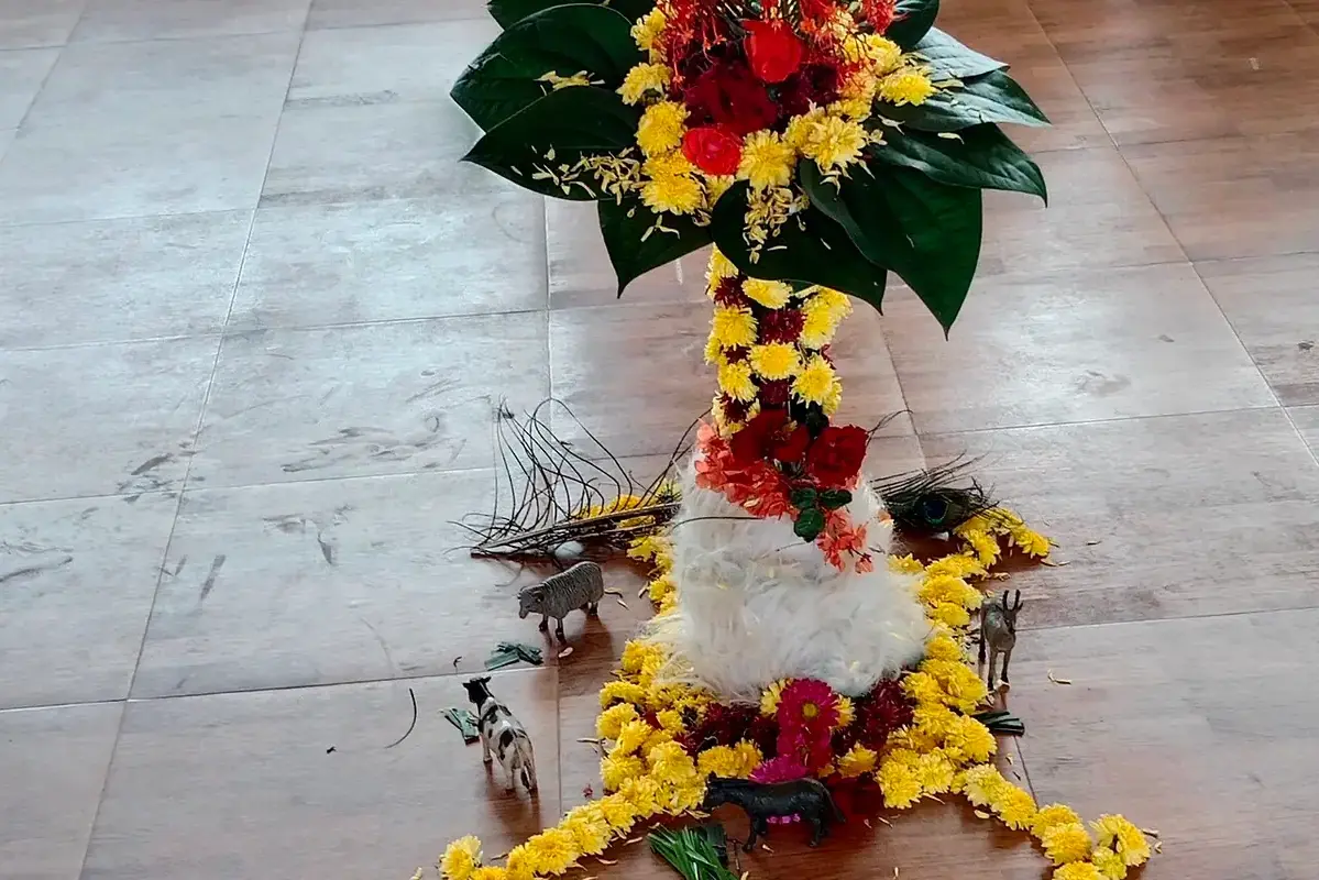 Cut Gomphrena Care: Keep Round Heads From Shedding shown in a clean flower-care setup