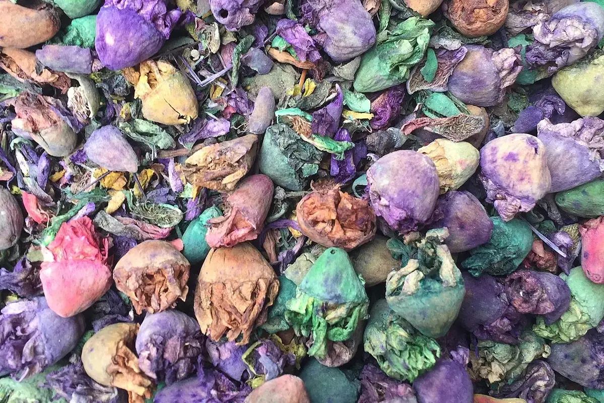 Wikimedia Commons photograph of dried decorative flowers