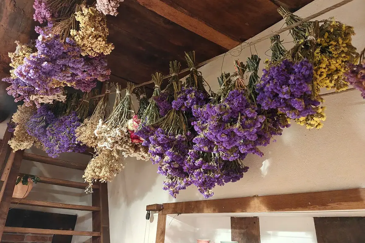 Small dried flower arrangement protected under a clear glass cloche