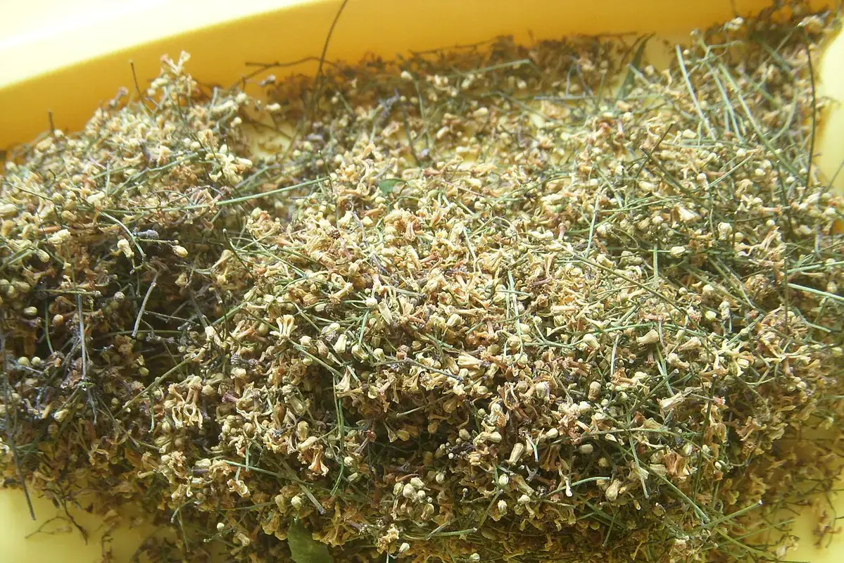 Small pale dried neem flowers spread in a shallow yellow container.