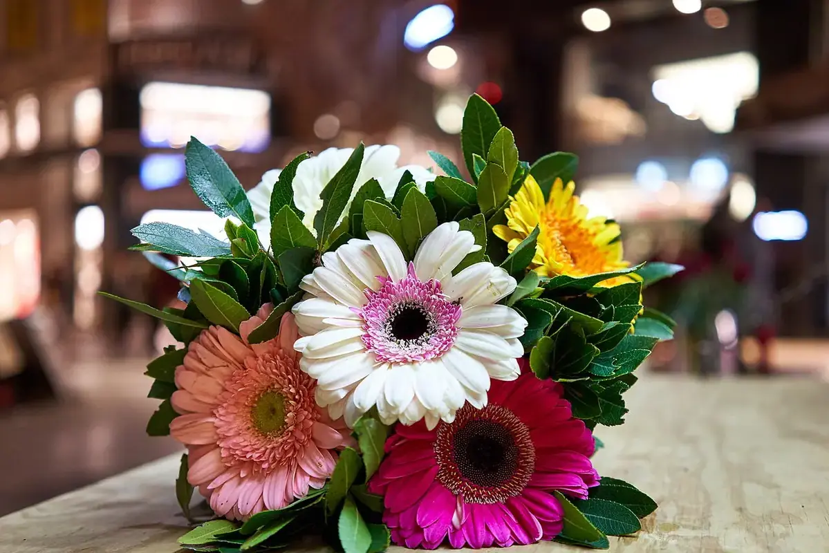 How to Dry Flowers With a Food Dehydrator shown in a clean flower-care setup