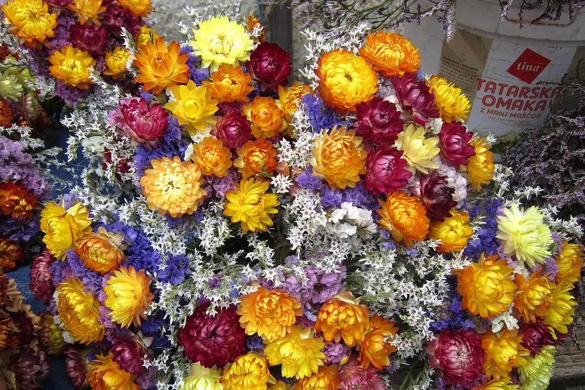 Flowers drying upright on a ventilated rack without being hung upside down