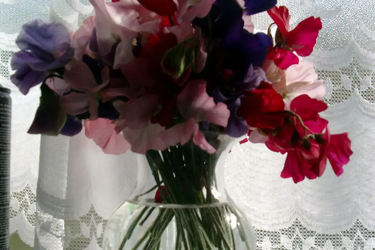 Wikimedia Commons flower photograph showing five labelled inspection zones on a delivered flower bouquet