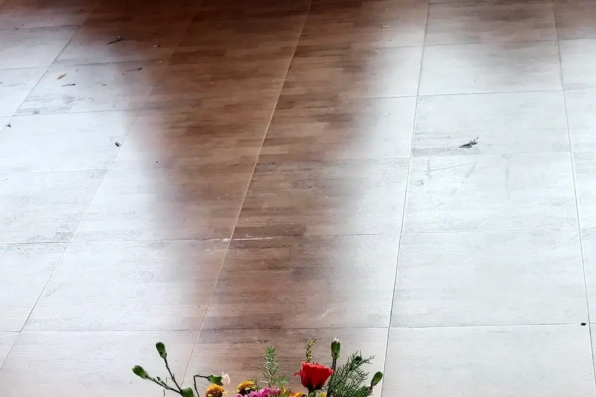 How to Keep Flowers Safe Around Curious Pets shown in a clean flower-care setup