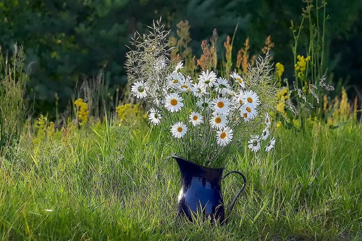Wikimedia Commons flower photograph showing a delivery bouquet, clean vase, snips and a shaded landing spot