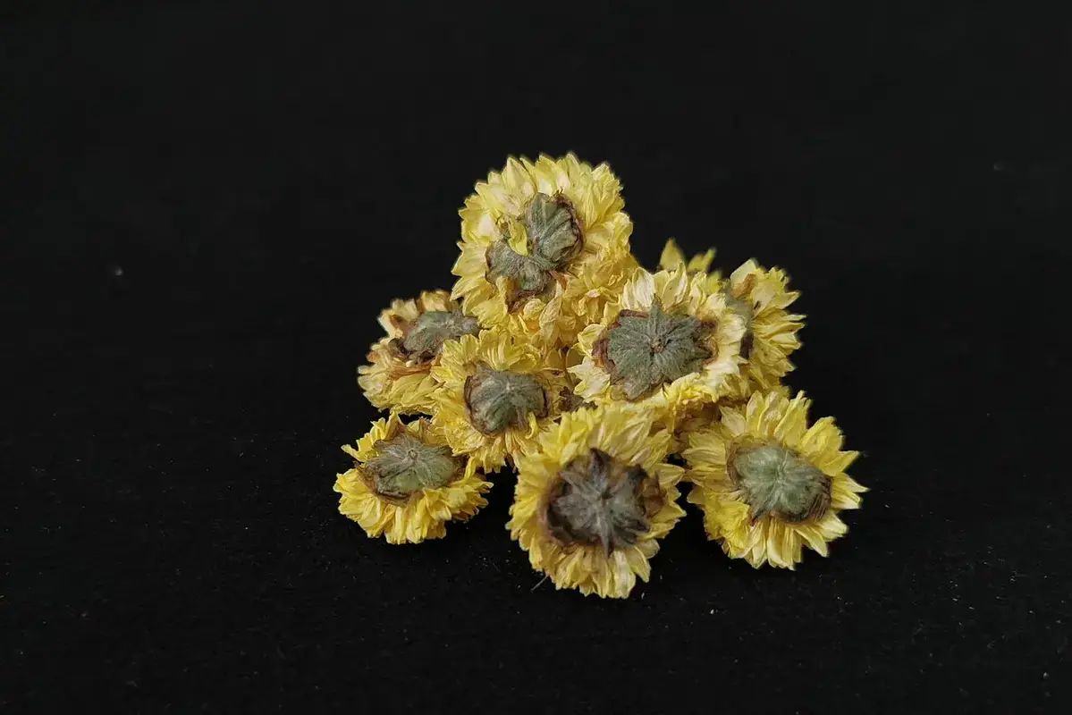 Pressed flowers stored flat with a labelled silica packet nearby but not touching petals