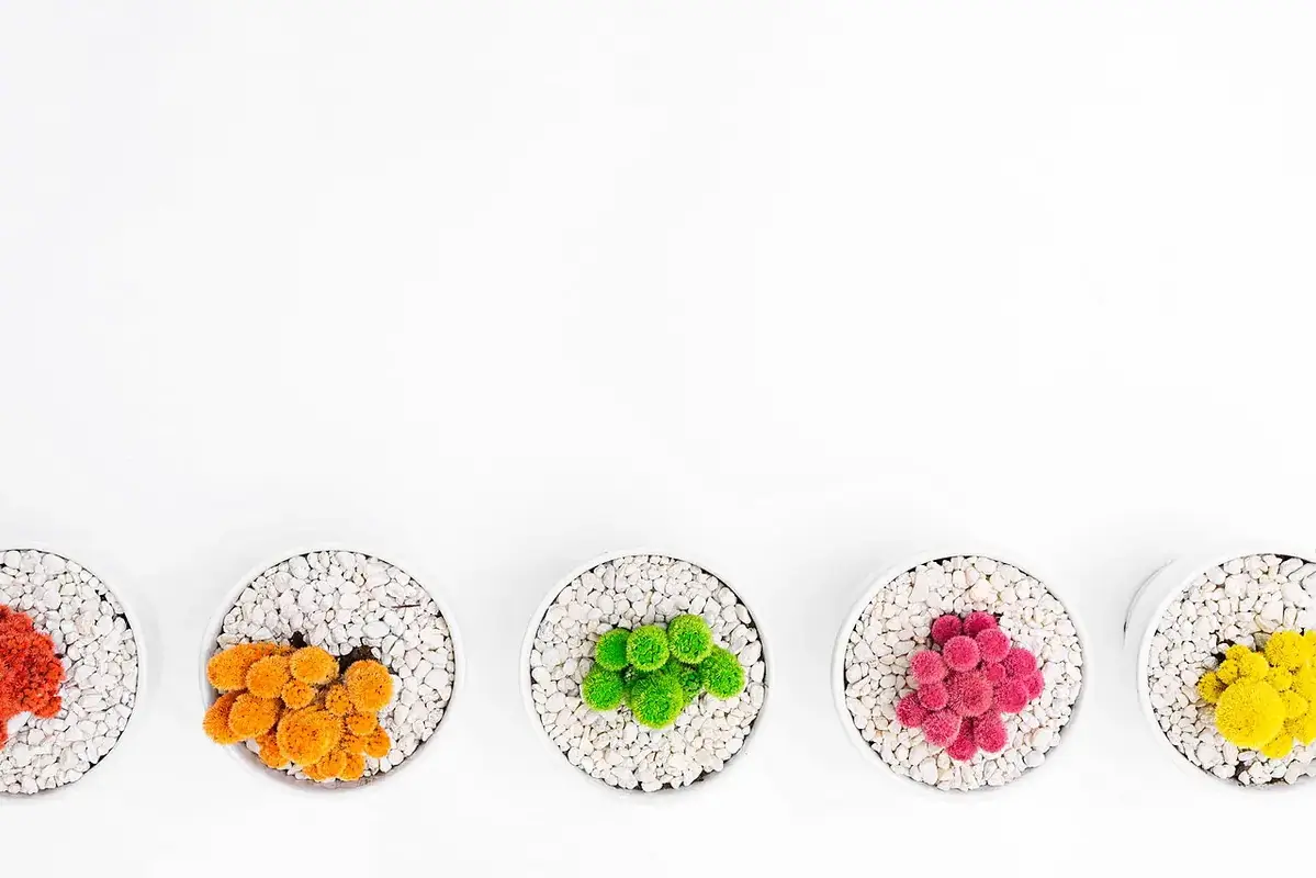 Dried flowers packed in a rigid box with tissue and labels for safe moving