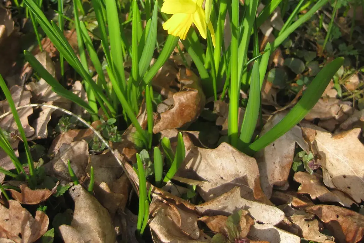 Flower vase moved out of a strong afternoon sunbeam on a table