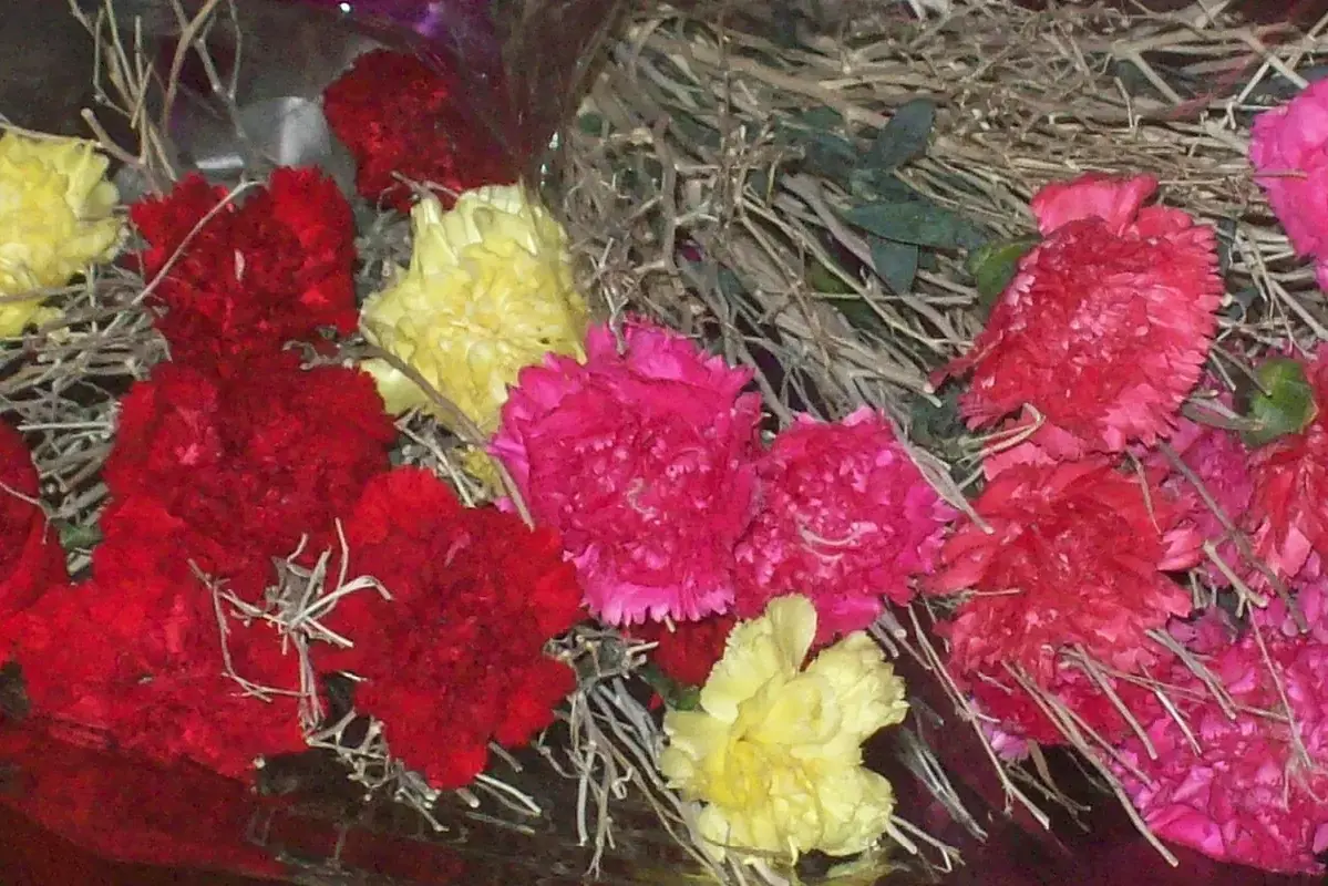 How to Recut Woody Flower Stems Without Splitting Them shown in a clean flower-care setup