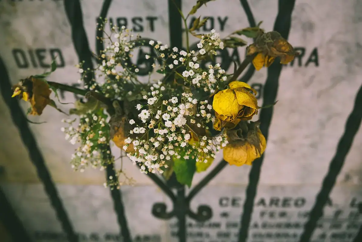 Small white and yellow flowers held in a clear glass vessel.