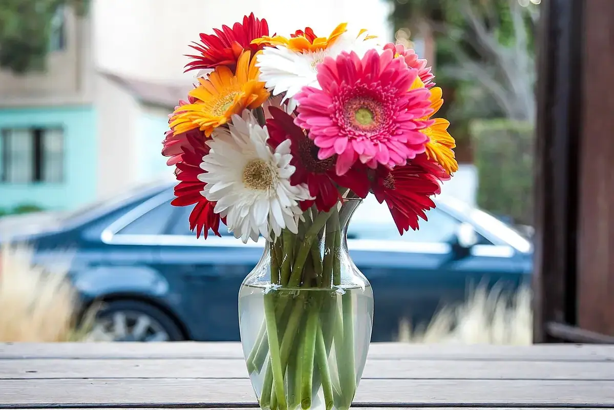 Damaged flower stem being removed from a full mixed bouquet