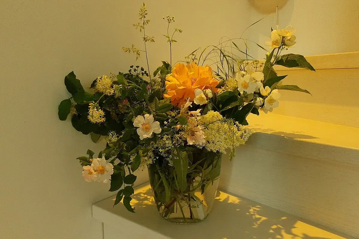 How to Store Dried Flowers in a Rigid Box shown in a clean flower-care setup