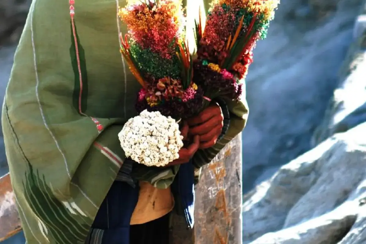 A bunch of dried flowers wrapped in broad green leaves.